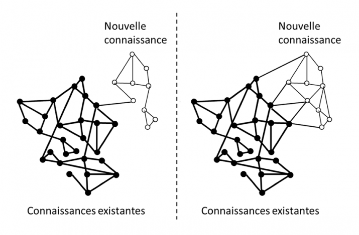 comprehension